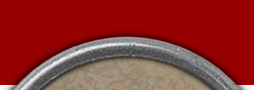 Mervil Paylor Design
