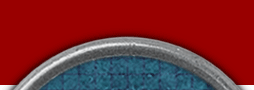 Mervil Paylor Design