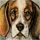 Seven Hounds