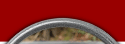 Mervil Paylor Design